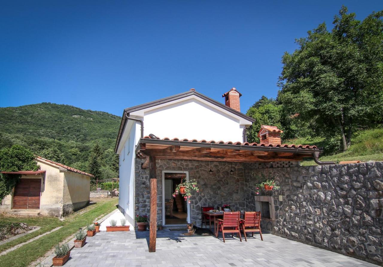 Guest house 'Villa Fani' Veprinac Esterno foto