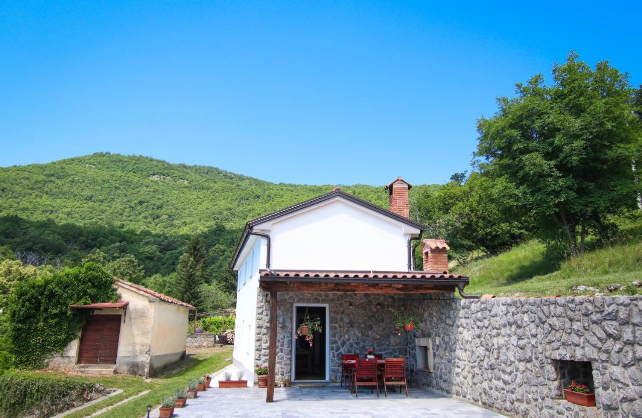 Guest house 'Villa Fani' Veprinac Esterno foto