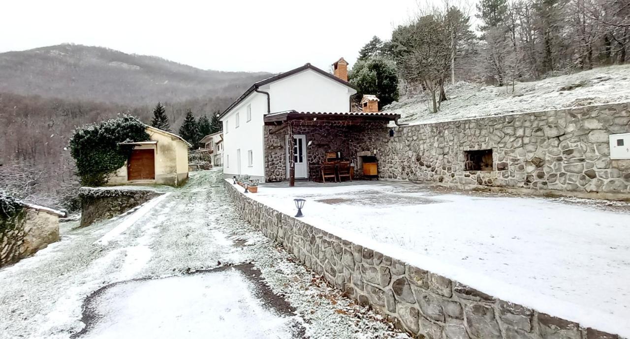 Guest house 'Villa Fani' Veprinac Esterno foto