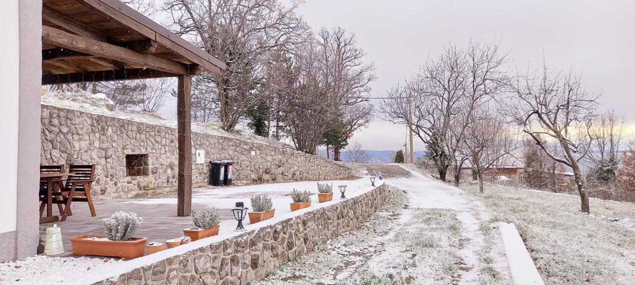 Guest house 'Villa Fani' Veprinac Esterno foto